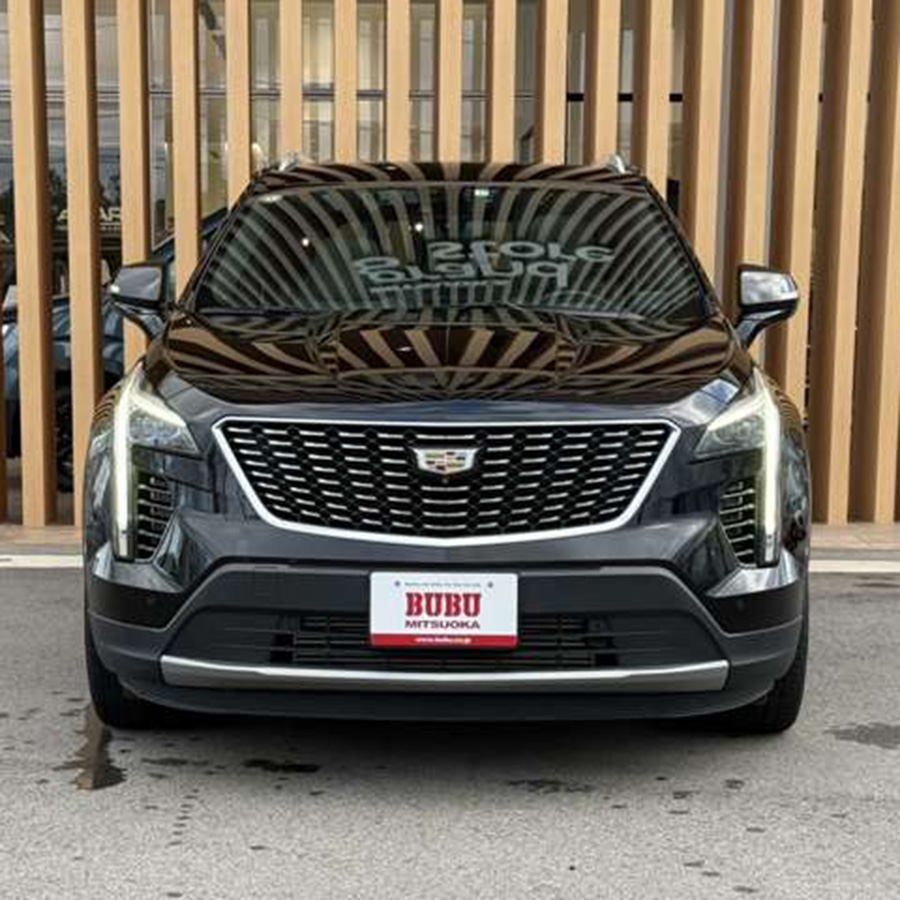 BUBU ：